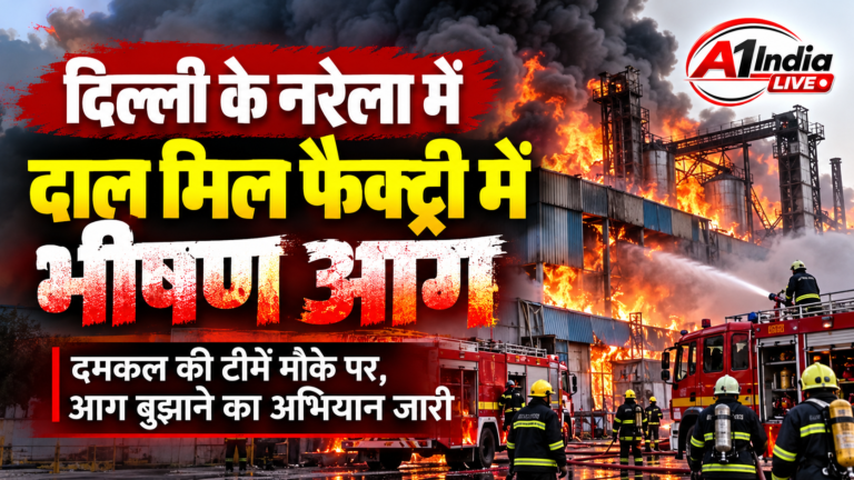 DELHI NEWS: दिल्ली के नरेला औद्योगिक क्षेत्र में दाल मिल फैक्ट्री में लगी भीषण आग, दमकल की गाड़ियां मौके पर